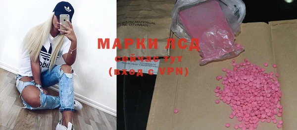 индика Нягань