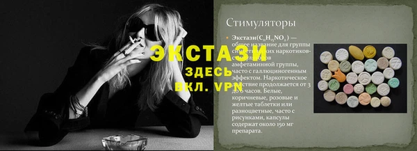 индика Нягань