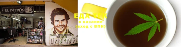 индика Нягань
