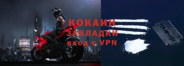 индика Нягань