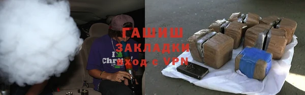 индика Нягань