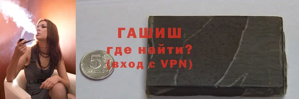 индика Нягань