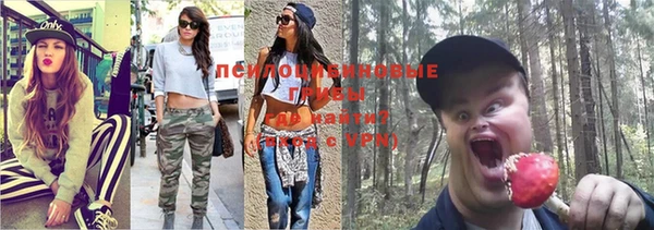 круглые Няндома